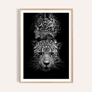 Framed close-up of leopard photography print showing two leopards in black and white