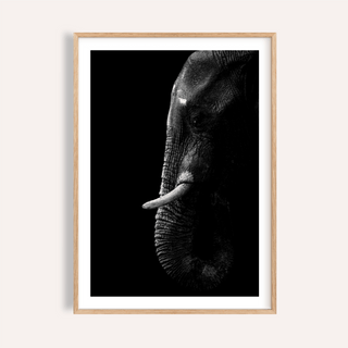 Close-up of black elephant wall art showing detailed texture of trunk and tusk in monochrome