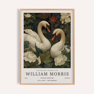 Framed Swan Wall Art of a pair of swans with vintage botanical illustration style in muted greens and whites
