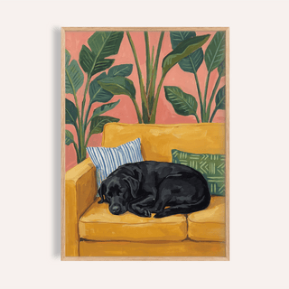 Black Lab wall art of a sleeping black labrador on a yellow sofa with plants and cushions