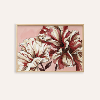 Framed print of pink background flower print with striped petals in red and cream colours