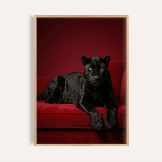 Luxury Panther Art close-up of a black panther on a red velvet sofa with deep red background