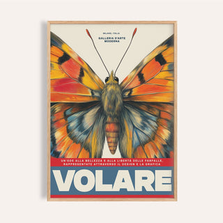 Close-up of butterfly art wall with orange and blue wings in a wooden frame