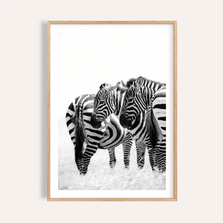 Close-up of zebra wall art featuring three zebras in black and white stripes with a natural wood frame