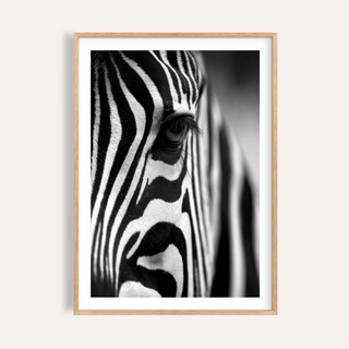 Wildlife Photography Poster close-up of zebra eye and striking black and white stripes in natural tones