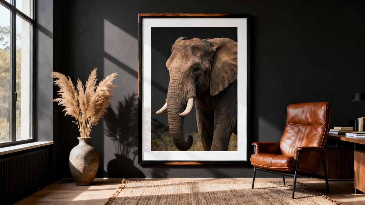 Immagini di Animali Incorniciate: Guida Completa alla Scelta e all’Esposizione dell’Arte sulla Fauna Selvatica