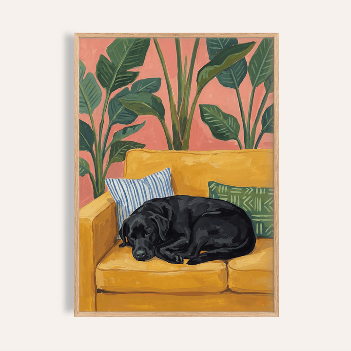 Black Lab wall art of a sleeping black labrador on a yellow sofa with plants and cushions
