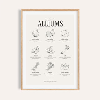 Types of Onions Print