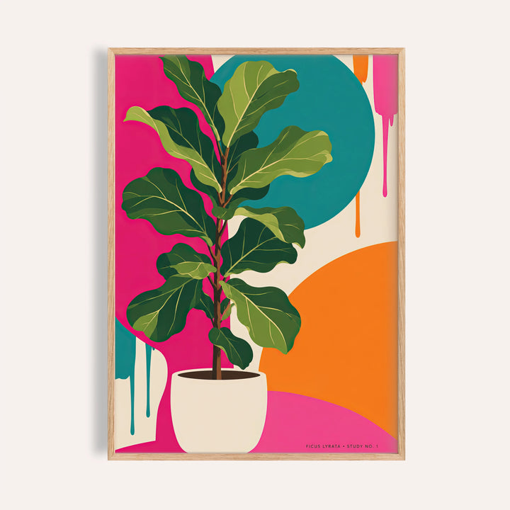 Fiddle Leaf Fig print with a cream pot on bright colour blocks