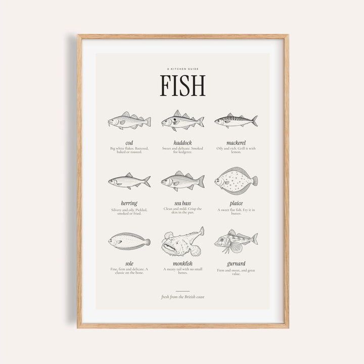 Types of fish print with nine engraved British fish in black ink