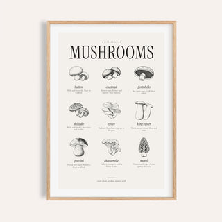 Types of Mushrooms Print