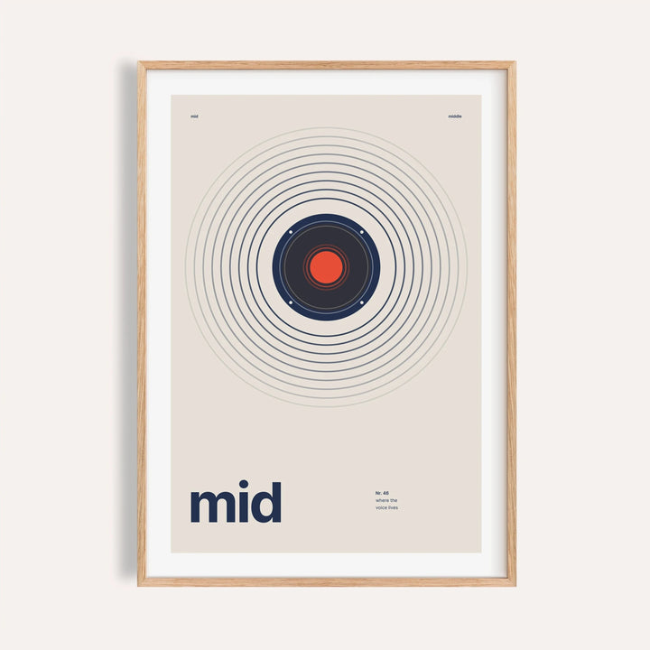 Mid range speaker with rings print shown on a plain warm wall