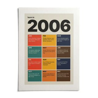2006 Year in Review Print, shown as an unframed paper print on a plain white background