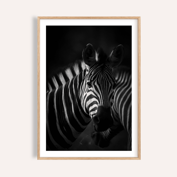 Framed Zebra Black White Print close-up showing a zebra portrait with bold stripes in black and white