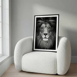 Print of black and white lion face leaning on a white armchair with curved arms
