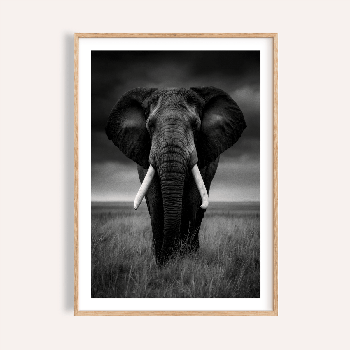 Framed Black And White Elephant Print of an elephant with tusks in tall grass