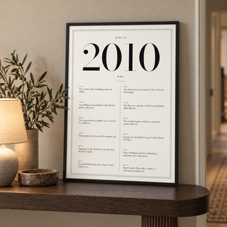 Classic 2010 print with twelve monthly moments in a bright home interior