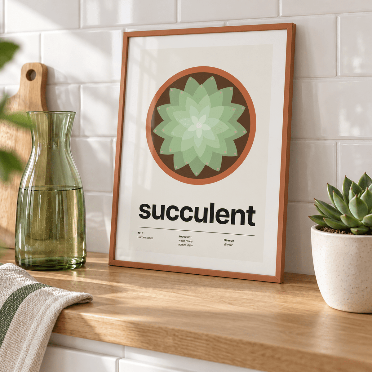 Echeveria in a terracotta pot from above above a console in a bright kitchen