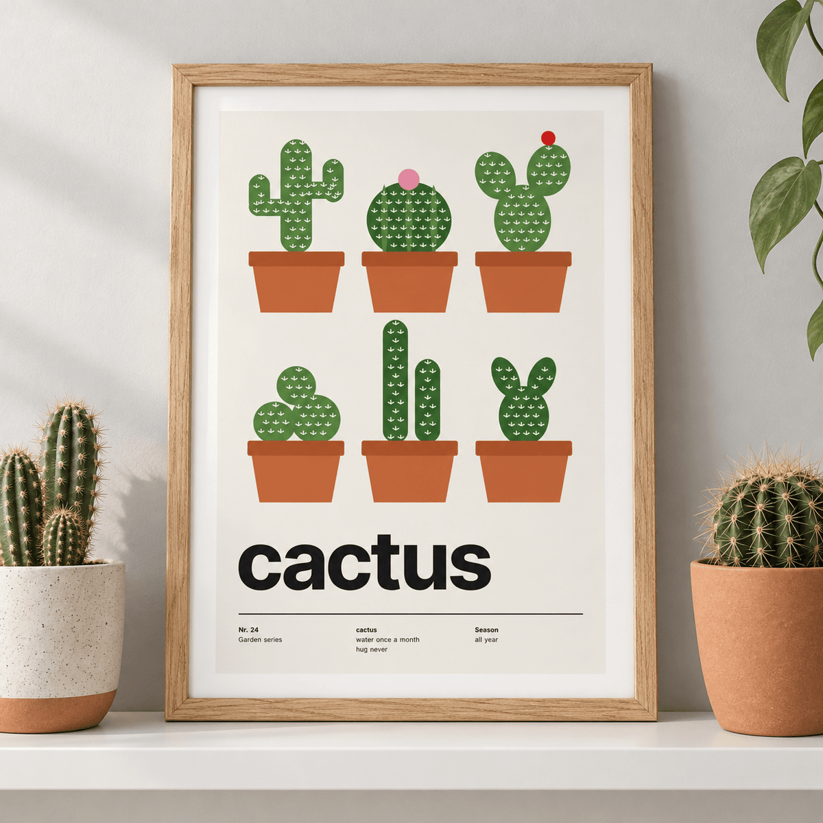 Six cacti in terracotta pots leaning on a shelf beside potted cacti