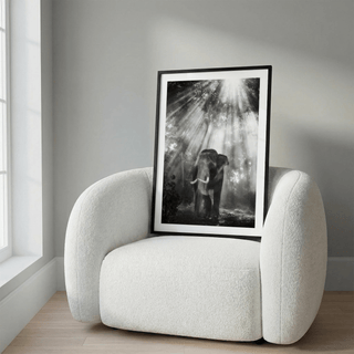 Print leaning on a white armchair of an elephant in a forest with sun rays in black and white
