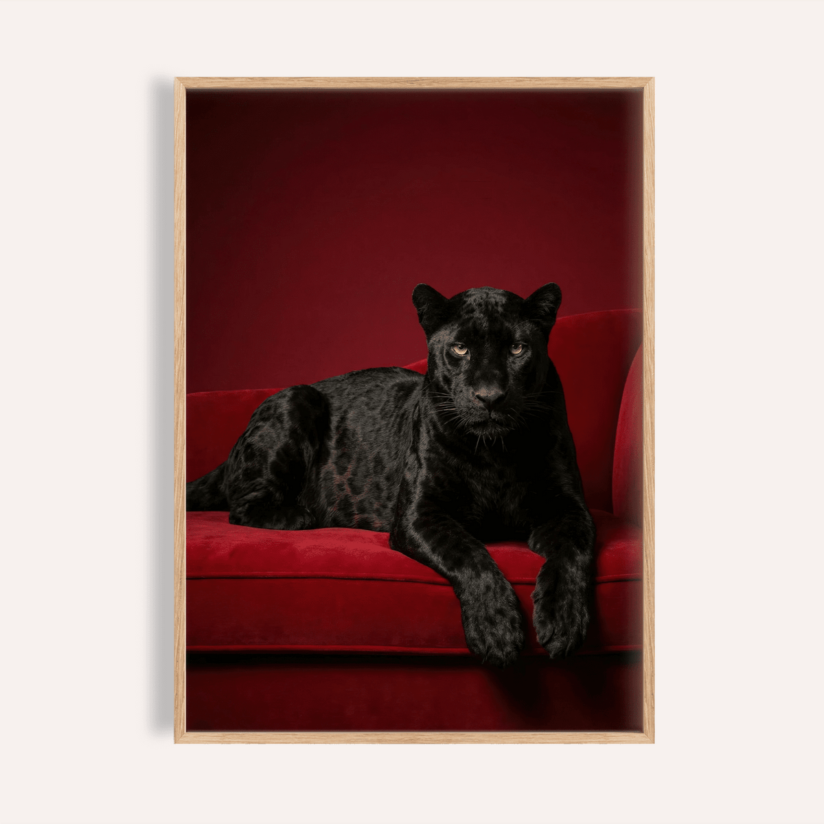 Luxury Panther Art close-up of a black panther on a red velvet sofa with deep red background