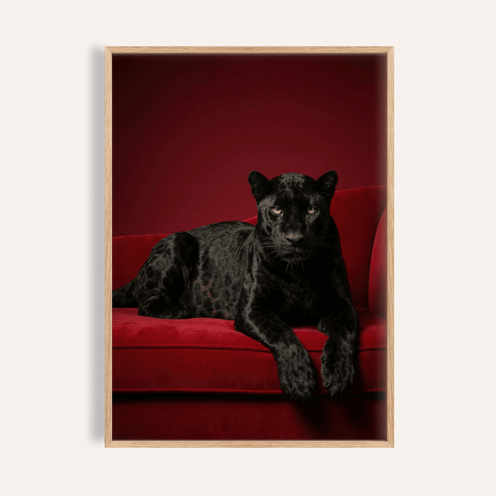 Luxury Panther Art close-up of a black panther on a red velvet sofa with deep red background