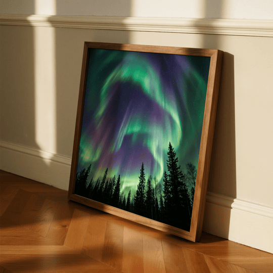 Aurora Paisaje Nocturno