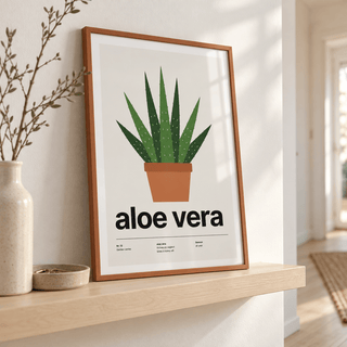 Aloe vera plant print on a ledge in a bright hallway