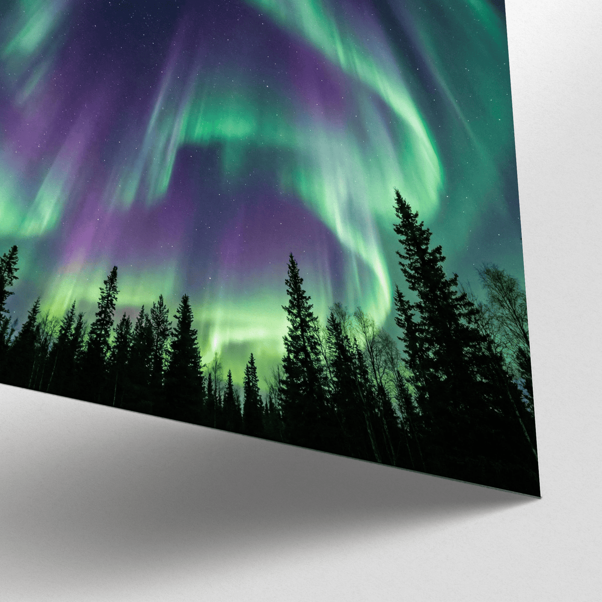 Northern Lights Art Print detail close-up of green and purple northern lights above black silhouettes of trees