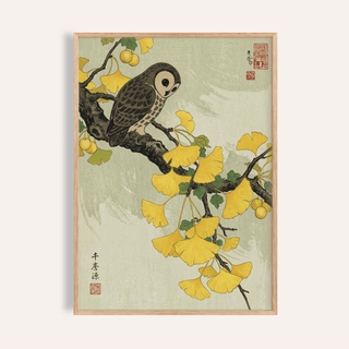 Framed Owl and Ginkgo Print showing an owl on a ginkgo branch with yellow leaves and green background