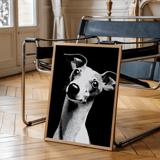 Dog art print of a whippet dog in black and white leaning against a chair on a wooden floor