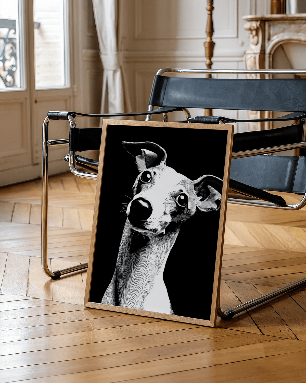 Dog art print of a whippet dog in black and white leaning against a chair on a wooden floor