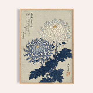 Chrysanthemum Art framed print close-up of blue and white chrysanthemum flowers with Japanese woodblock style