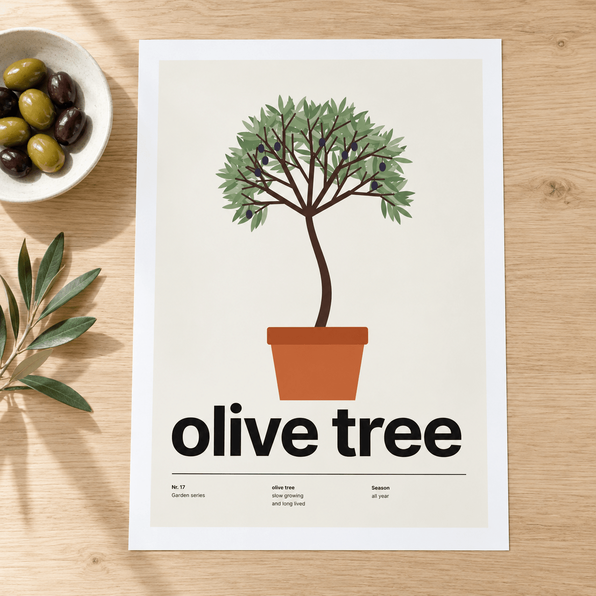 Close view of the Swiss style olive tree print on smooth matte paper