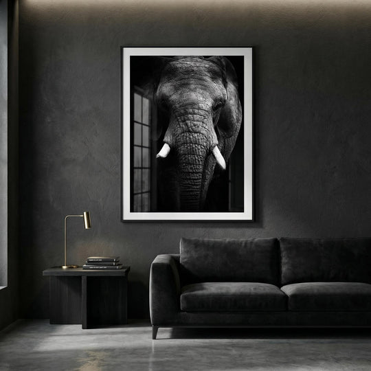Presencia de Elefante