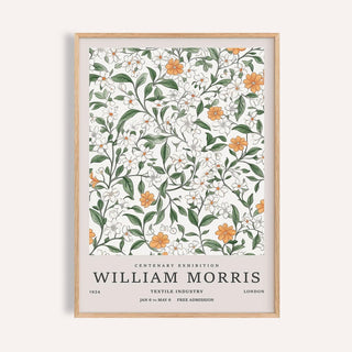Framed Vintage Prints Flowers wall art with orange and white flowers and green leaves