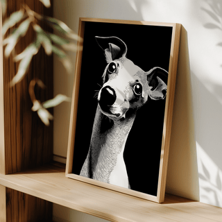 Dog art print leaning on a shelf showing a black and white whippet dog illustration with sunlight and plant shadows nearby