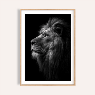 Framed Lion Wall Art close-up showing monochrome lion profile with detailed mane