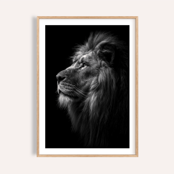 Framed Lion Wall Art close-up showing monochrome lion profile with detailed mane