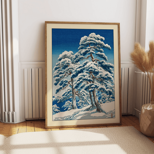 Pino de Nieve