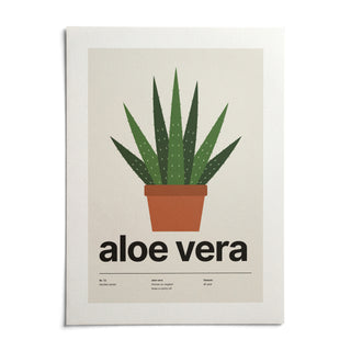 Aloe Vera Print, shown as an unframed paper print on a plain white background