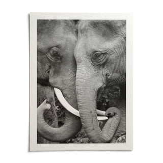 Animal Portrait Art, shown as an unframed paper print on a plain white background