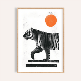 Framed close-up of Indian Tiger Print featuring a walking tiger with black stripes and an orange sun