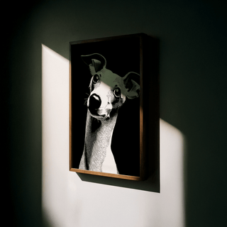 Framed Dog Art Print of a whippet dog in black and white hanging on a wall with light and shadow