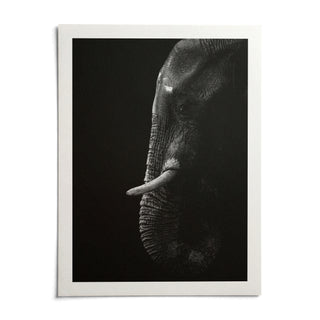 Black Elephant Wall Art, shown as an unframed paper print on a plain white background