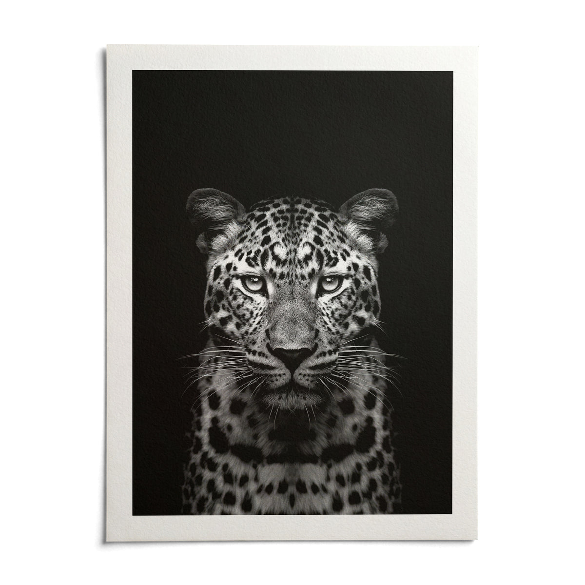 Black Leopard Art Print, shown as an unframed paper print on a plain white background