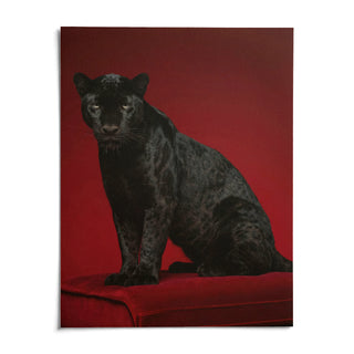 Black Panther Art Print, shown as an unframed paper print on a plain white background