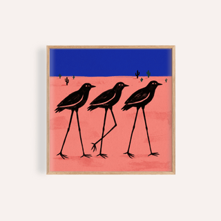 Framed close-up of desert bird wall art with three stylised black birds on a coral and blue background