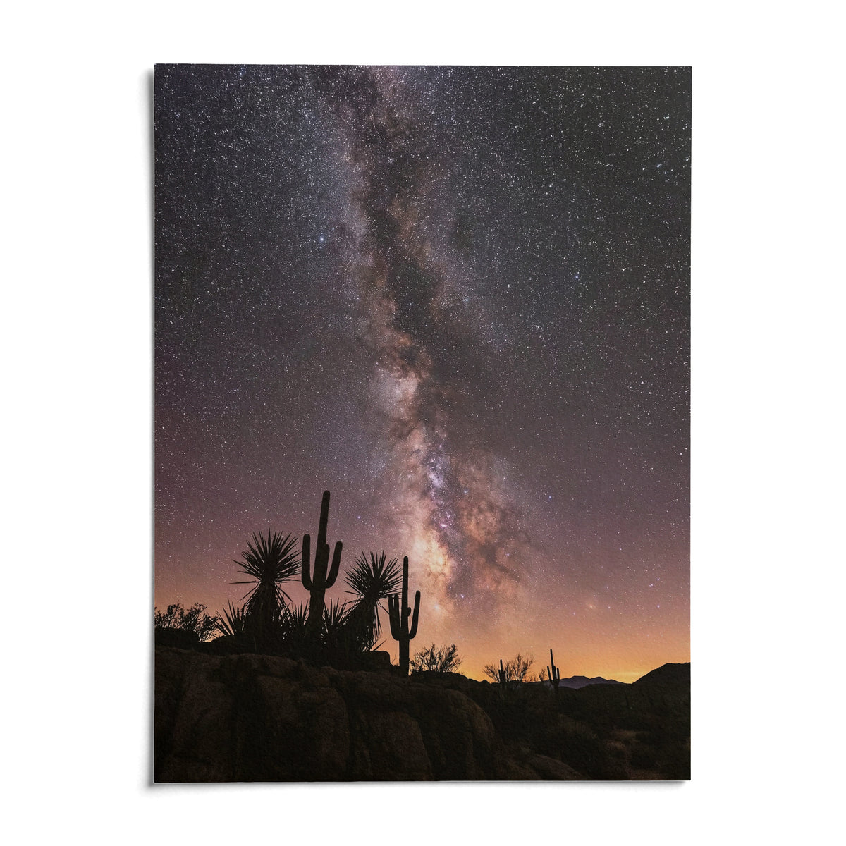 Cactus Night Print, shown as an unframed paper print on a plain white background