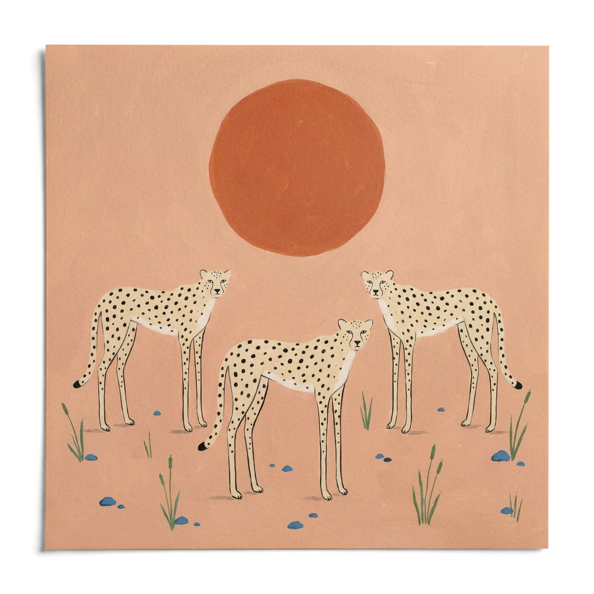 Cheetah Art Print, shown as an unframed paper print on a plain white background